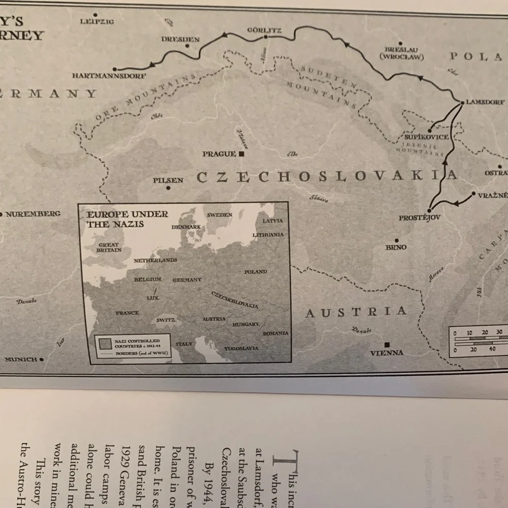 The Prisoner's Wife by Maggie Brookes - Elegant Blue Cover Book - Picture 4 of 8